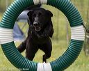 20130519-neat-0343