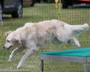 20130519-neat-0356