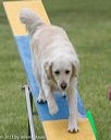 20130519-neat-0358