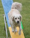 20130519-neat-0360