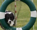 20130519-neat-0363