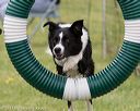 20130519-neat-0375