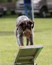 20130519-neat-0382