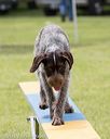 20130519-neat-0383