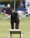 20130519-neat-0297