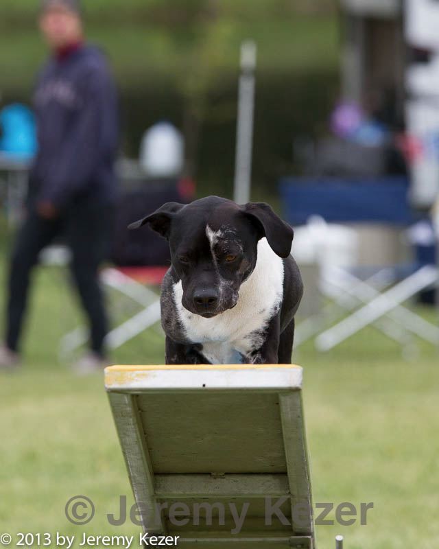 20130519-neat-0285.jpg
