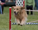 20130519-neat-0258