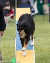 20130519-neat-0275