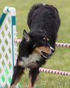 20130519-neat-0277