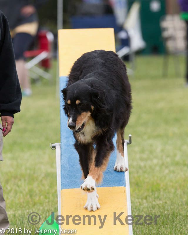 20130519-neat-0275.jpg