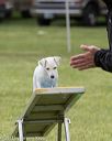 20130519-neat-0326