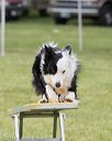 20130519-neat-0317