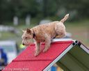 20130614-cckc-0078