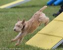 20130614-cckc-0079