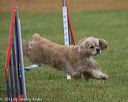 20130614-cckc-0081