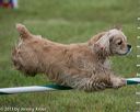 20130614-cckc-0082