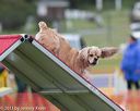 20130614-cckc-0083