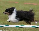 20130614-cckc-0085