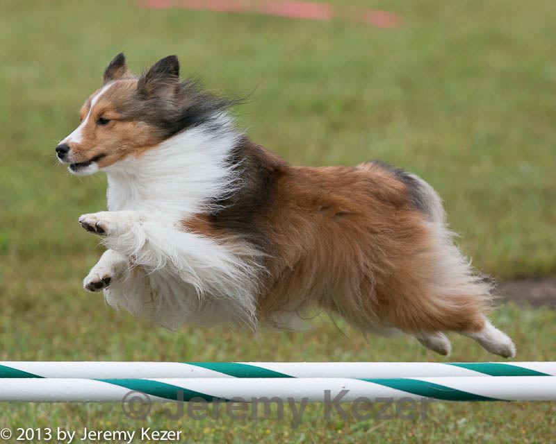 20130614-cckc-0070.jpg