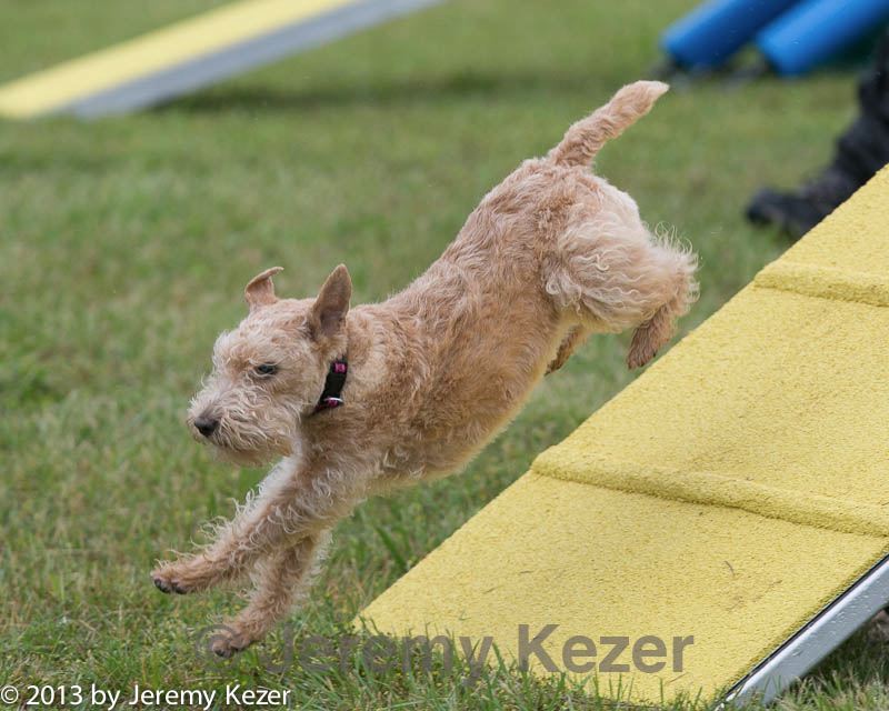 20130614-cckc-0079.jpg