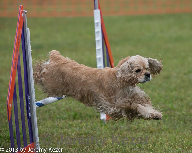 20130614-cckc-0081.jpg