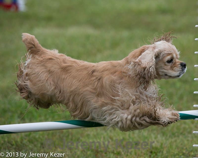 20130614-cckc-0082.jpg