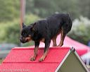 20130614-cckc-0047