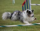 20130614-cckc-0050