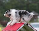 20130614-cckc-0051