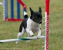 20130614-cckc-0055