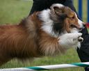 20130614-cckc-0060