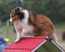 20130614-cckc-0062