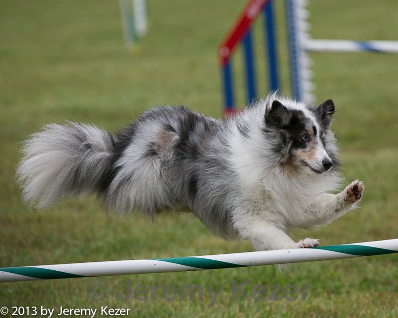 20130614-cckc-0050.jpg