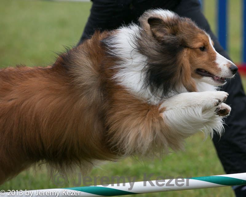 20130614-cckc-0060.jpg