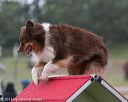 20130614-cckc-0003
