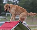 20130614-cckc-0006