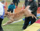 20130614-cckc-0007
