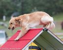 20130614-cckc-0009