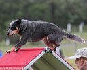 20130614-cckc-0019