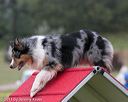 20130614-cckc-0025