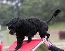 20130614-cckc-0028