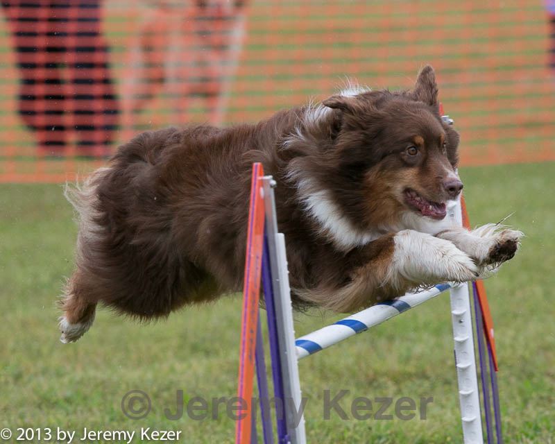 20130614-cckc-0002.jpg
