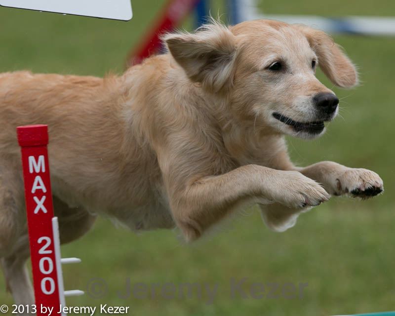 20130614-cckc-0032.jpg