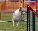 20130614-cckc-0118