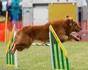 20130614-cckc-0105