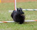 20130614-cckc-0821