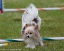 20130614-cckc-0831