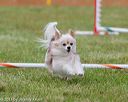 20130614-cckc-0833