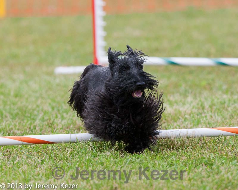 20130614-cckc-0821.jpg