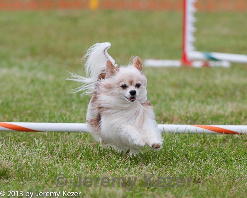 20130614-cckc-0833.jpg